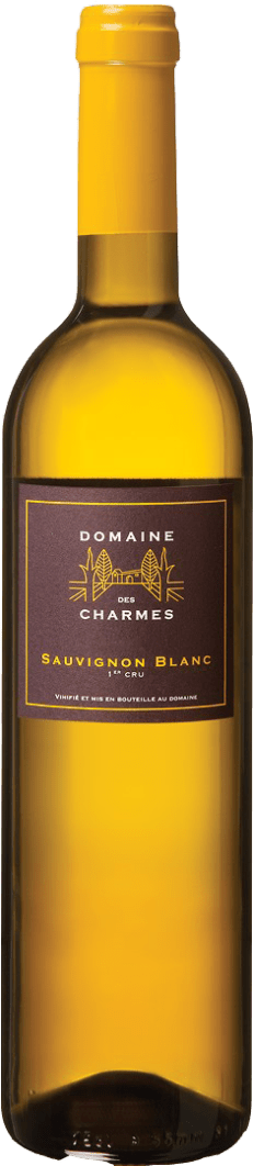 Domaine des Charmes Sauvignon Blanc 1er Cru White 2023 75cl