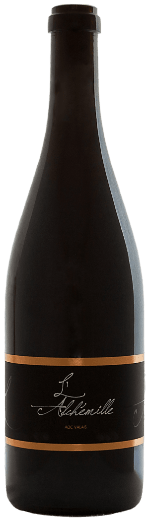 Cave l'Alchémille Syrah Red 2022 75cl